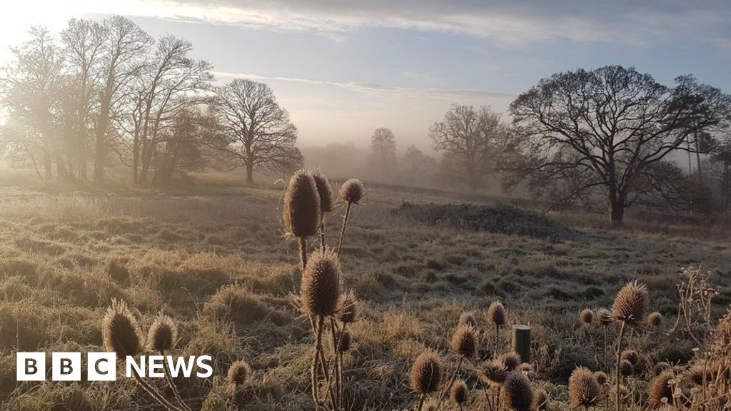 Plans for social housing halted after campaign Plans for social housing halted after campaign