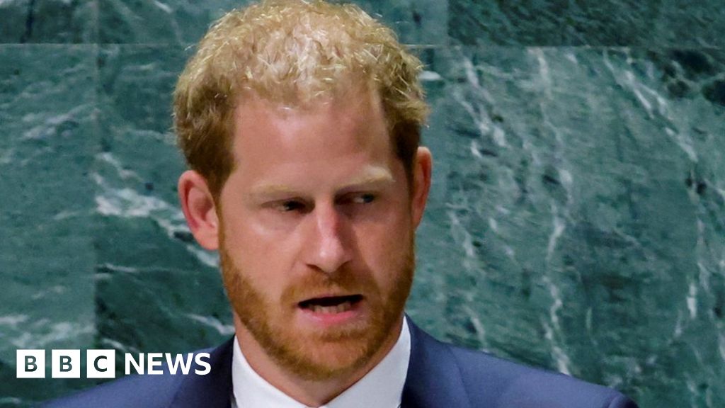 Prince Harry warns UN of global assault on freedom Prince Harry warns UN of global assault on freedom