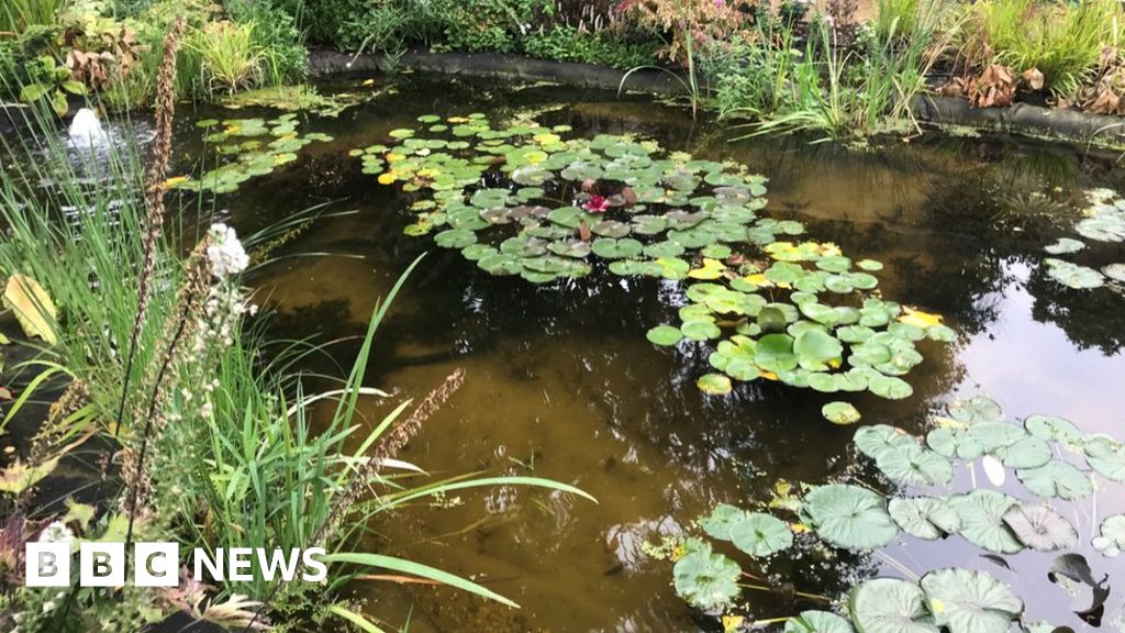 Wellbeing centre for Reading hospital staff set to open