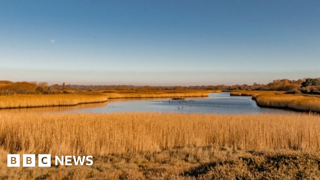 Titchfield Haven nature reserve plans unviable, says council Titchfield Haven nature reserve plans unviable, says council