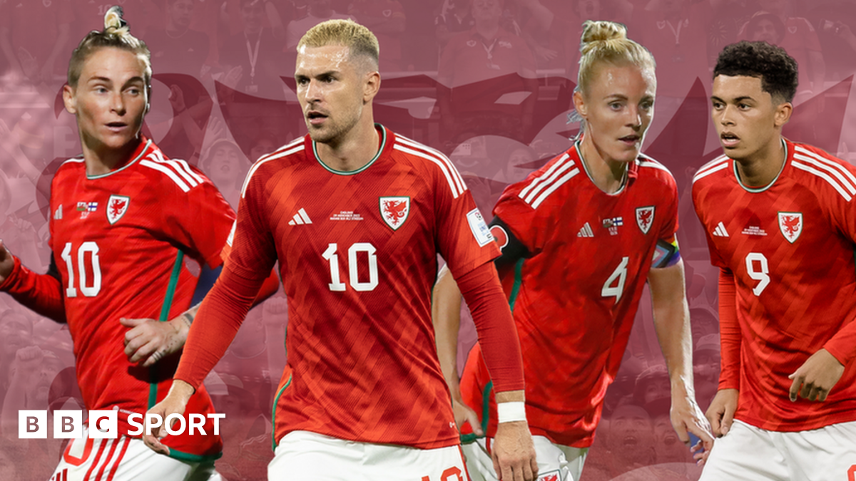 Equal pay: Football Association of Wales agree landmark deal