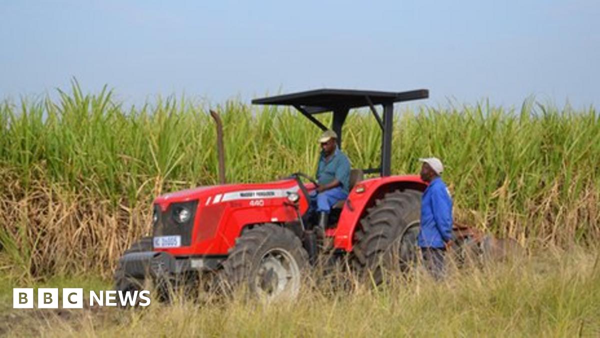 Can South Africa avoid doing a Zimbabwe on land?