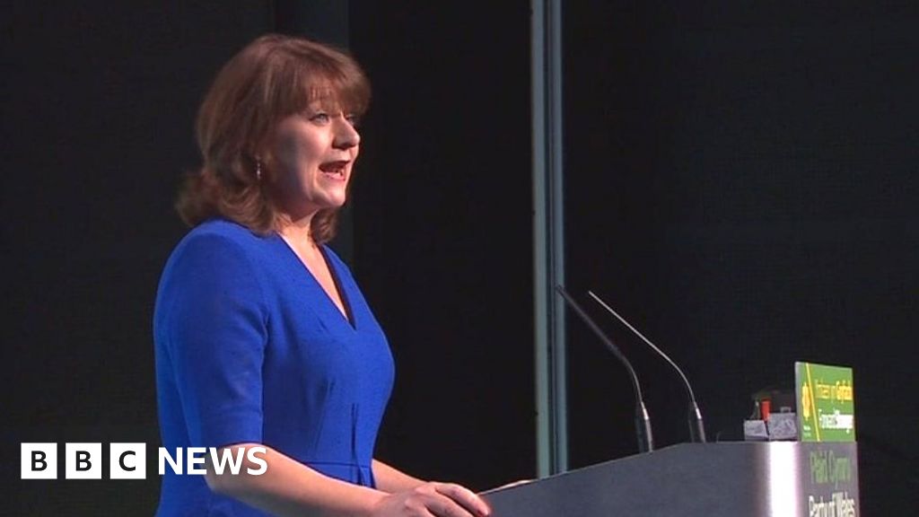 Plaid Cymru needs to earn trust of voters, Leanne Wood says Plaid Cymru needs to earn trust of voters, Leanne Wood says