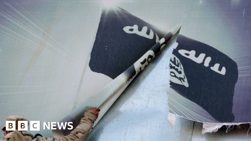 IS foreign fighters: 5,600 have returned home