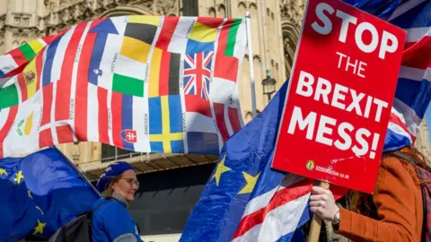 Getty Images Brexit placard