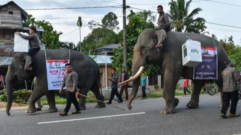 AFP Indonesian mahouts ride elephants transporting election materials to a polling station during the presidential election in Trumon, Southern Aceh province on April 17, 2019. -