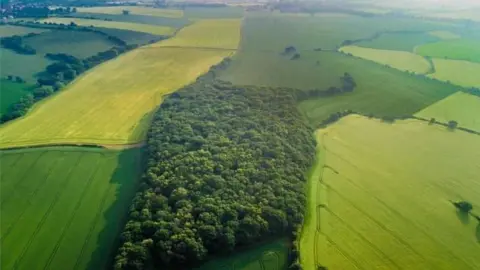 Chidswell Action Group Land earmarked for development