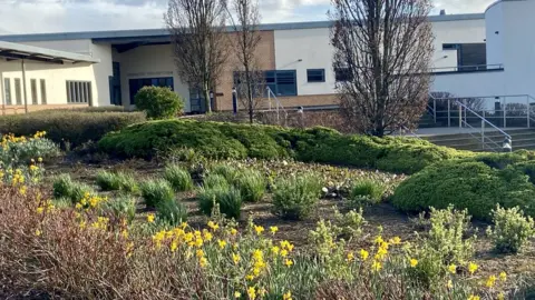 Caroline Chsiholm School Daffodils at Caroline Chisholm School