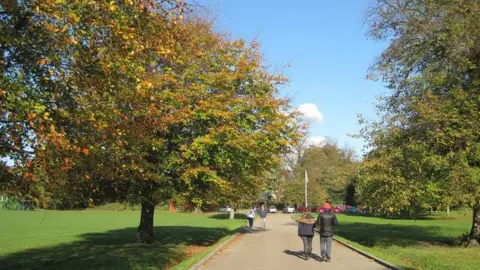 Sue Adair/Geograph Hale Park