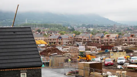 View over Black's Gate in Belfast