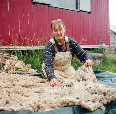 Joanne Coates Farmer Fransje sorts through sheared fleeces on her farm in Northumberland
