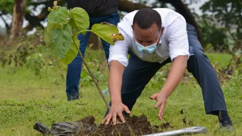 Getty Images Ethiopia's Prime Minister Abiy Ahmed plants a tree during the tree-planting ceremony in Hawassa on 5 June 2020