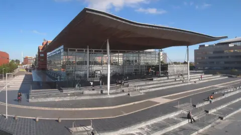 The Senedd