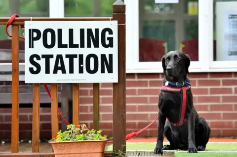 Google Dog by a polling station