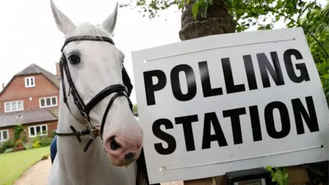 PA Horse at polling station