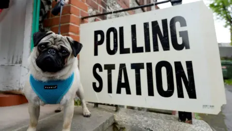 PA Pug at a polling station