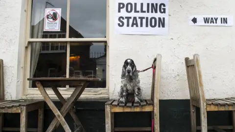 WILL OLIVER Dog at a polling station