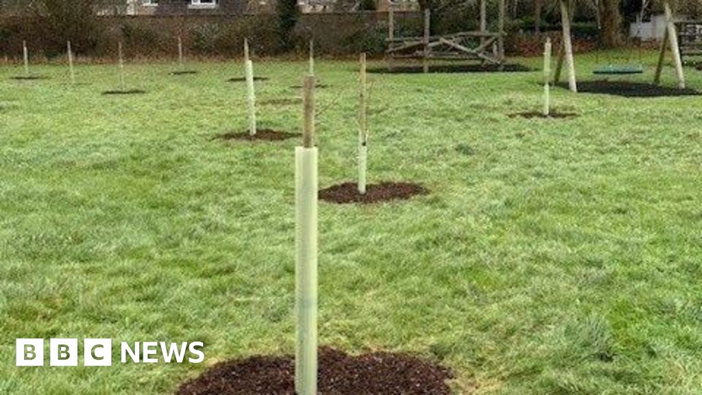 Work under way to plant 20 community orchards Work under way to plant 20 community orchards
