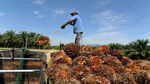 The fishing and farming town of Trujillo, Honduras