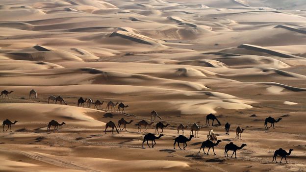 Living in: Abu Dhabi
