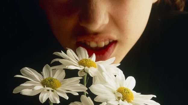 Why do we have allergies? Why do we have allergies?