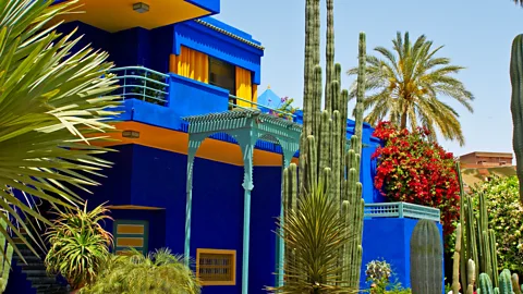 Alamy The Majorelle Garden in Marrakech was designed in 1924, and was acquired by Yves Saint Laurent and Pierre Bergé in 1980 (Credit: Alamy)