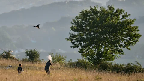 Getty Images If guns disappeared, there would be extra potential challenges for both hunting and agriculture (Credit: Getty Images)