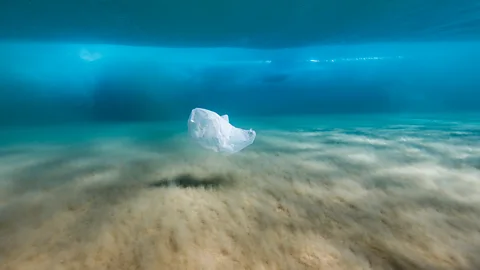 Getty Images (Credit: Getty Images)