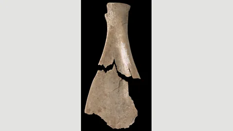 British Library Board In the Shang Dynasty, questions to deities were carved into bones as part of divination (Credit: British Library Board)