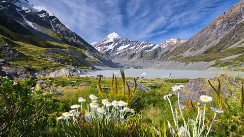 Martin Vlnas/Getty Images New Zealand’s decisive action to close borders and lock down the country has made it well-placed for a stable recovery (Credit: Martin Vlnas/Getty Images)