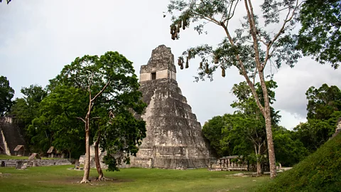 Amanda Ruggeri Tikal Temple 1 was built in 732AD as the tomb of the Tikal king Jasaw Chan K’awii I (Credit: Amanda Ruggeri)
