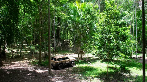 Amanda Ruggeri Trucks driving archaeologists through the jungle can sometimes get stuck (Credit: Amanda Ruggeri)