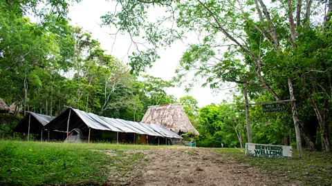 Amanda Ruggeri At El Zotz's archaeologist camp, everyone sleeps in tents under a tarp (Credit: Amanda Ruggeri)