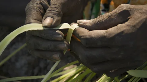Penny Tweedie/Getty Images There’s now evidence that presents a radically different picture of how Indigenous Australians lived – and cooked – prior to colonisation (Credit: Penny Tweedie/Getty Images)