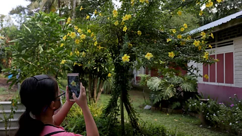 Edgar Su/Alamy Many Singaporeans now feel a newfound appreciation for this rural relic and the "kampong spirit" (Credit: Edgar Su/Alamy)