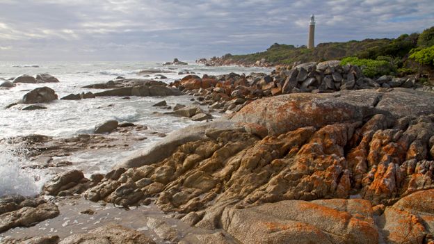 The rebirth of Tasmanian indigenous culture The rebirth of Tasmanian indigenous culture