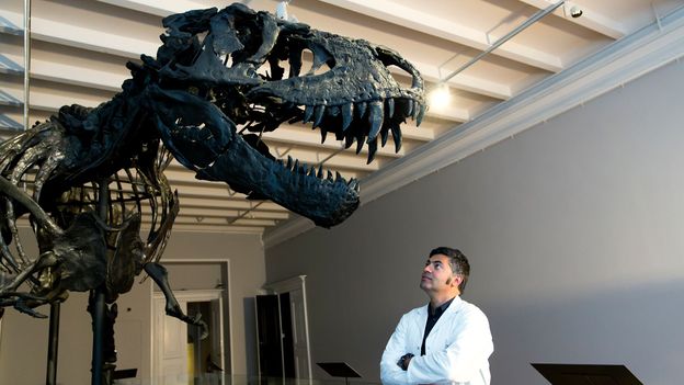 How to turn yourself into a fossil How to turn yourself into a fossil