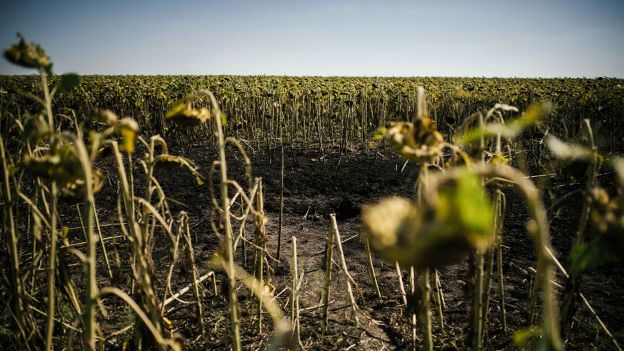 The toxic legacy of the Ukraine war The toxic legacy of the Ukraine war