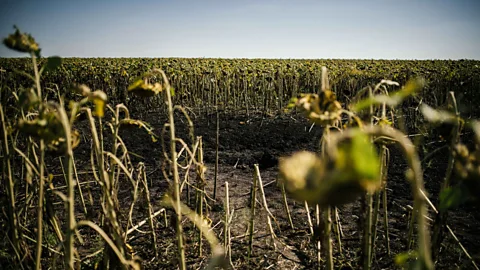 Dimitar Dilkoff/Getty Images The UN warns that the war in Ukraine could leave a "toxic legacy for generations to come" (Credit: Dimitar Dilkoff/Getty Images)