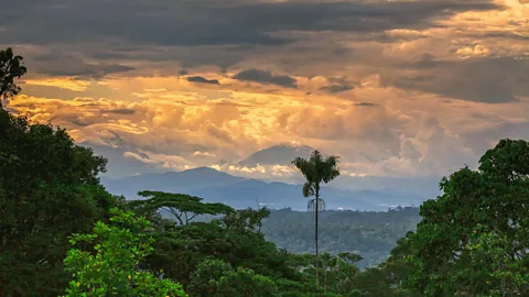 KalypsoWorldPhotography/Alamy Upano Valley, Ecuador