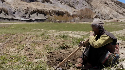 Tulsi Rauniyar Tinzen Angmu is one of just five residents who chose to stay behind in Samdzong when the entire village relocated (Credit: Tulsi Rauniyar)